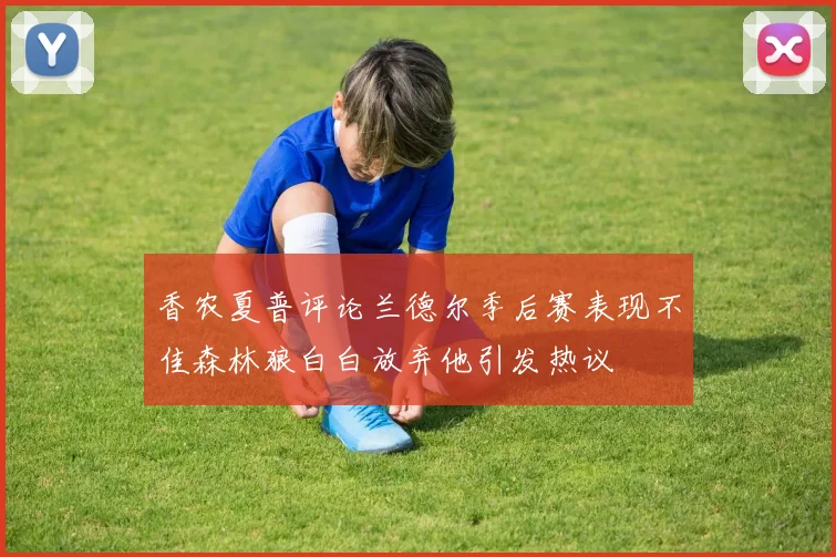 香农夏普评论兰德尔季后赛表现不佳森林狼白白放弃他引发热议